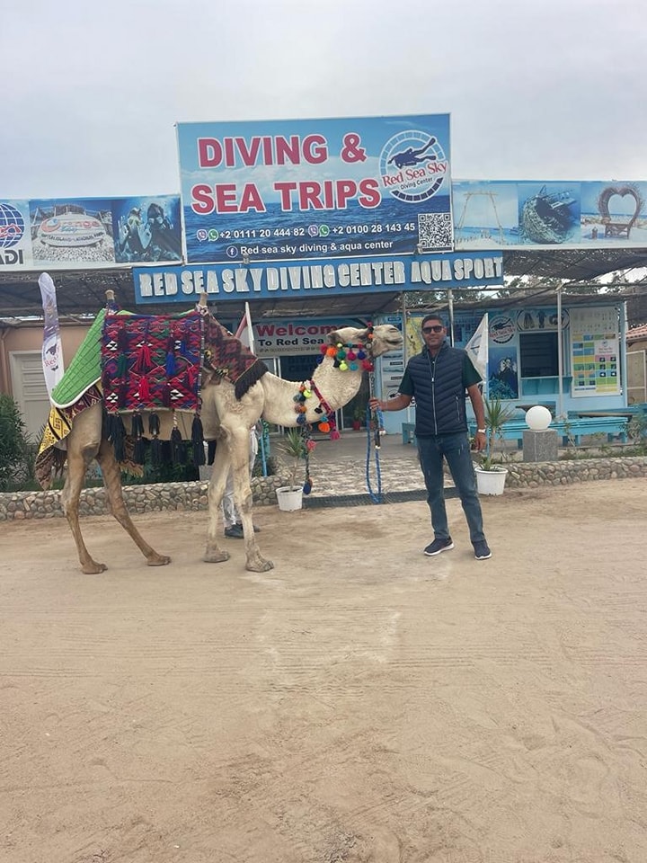 When the desert mixes with the sea, Oscar camel is ready to dive