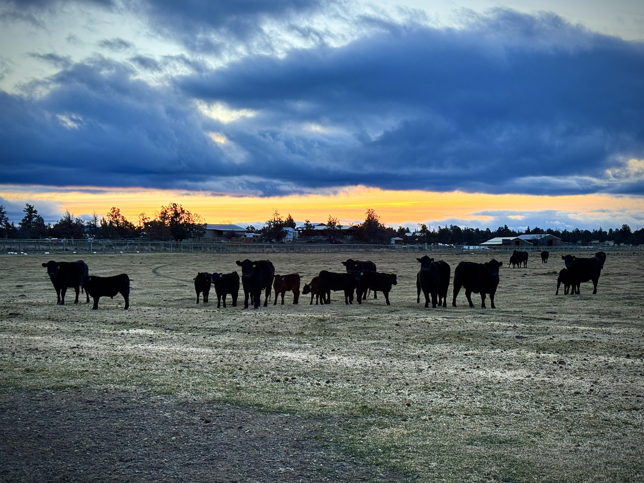 Flying Flower Ranch, LLC | Bend OR