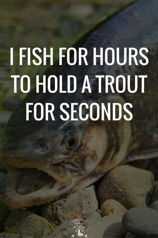Las Vegas Fly Fishing Club / Southern Nevada Chapter of Trout Unlimited ...