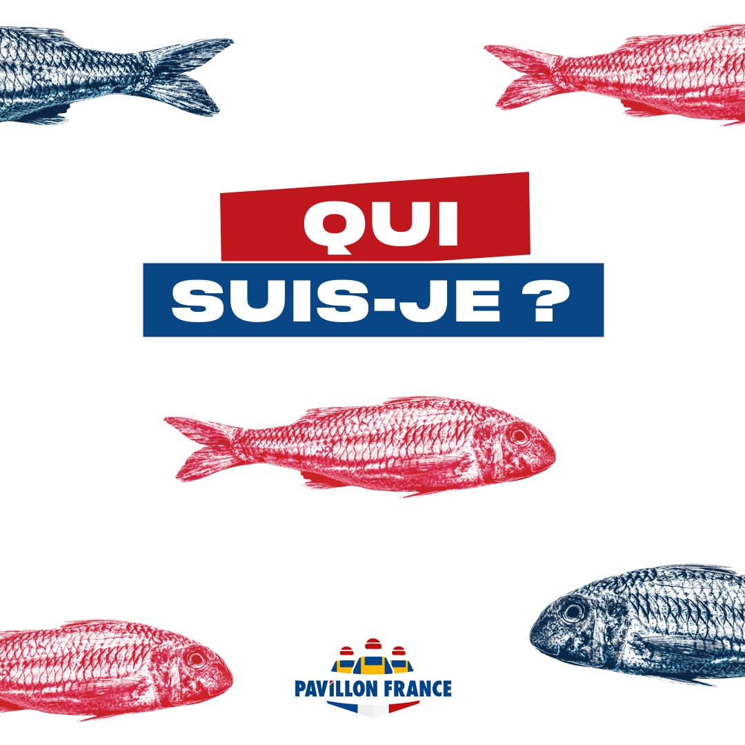 Pavillon France - Connaissez-vous ce cousin du grondin ?... | Facebook