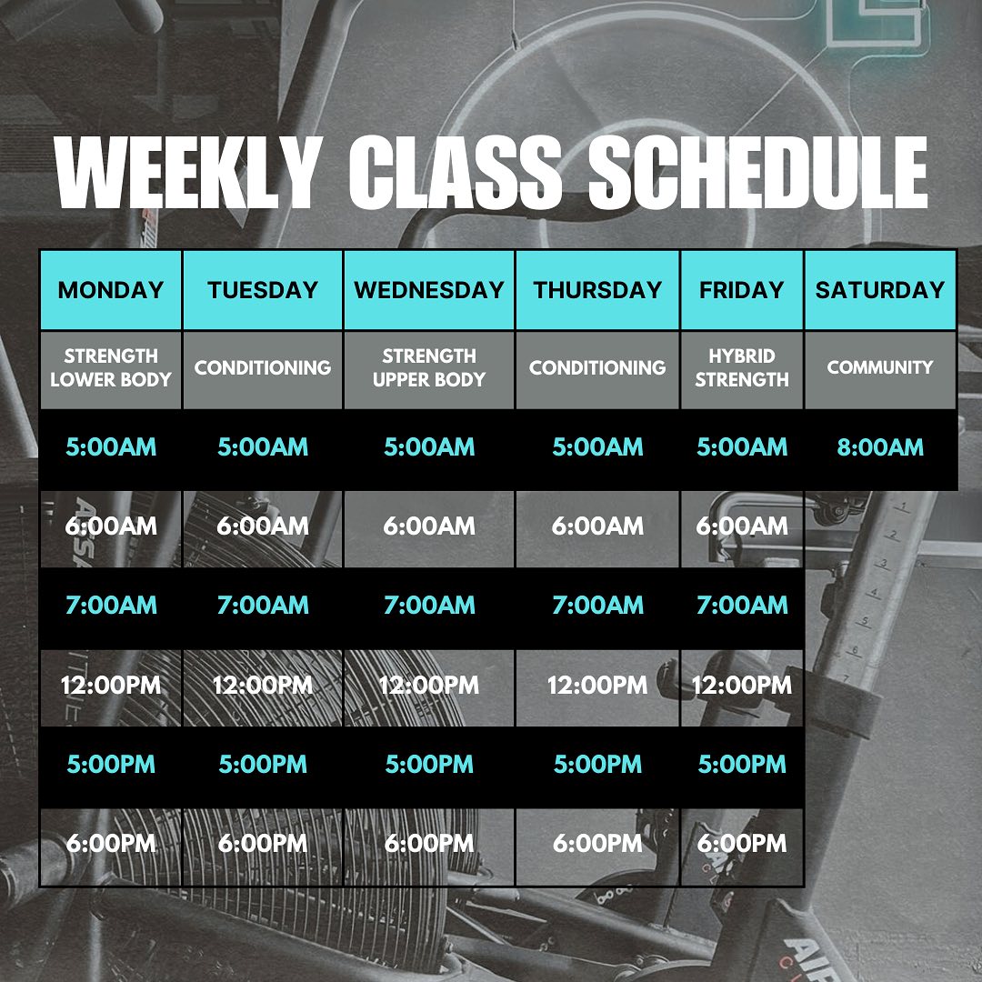 The Optimal Lab | Crows Nest NSW
