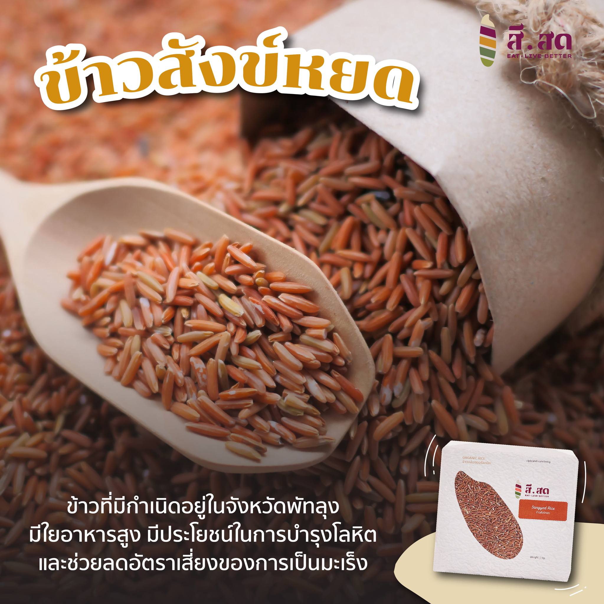 สีสด - SISOD - ข้าวสังข์หยดพัทลุง 🌾🍚 ....