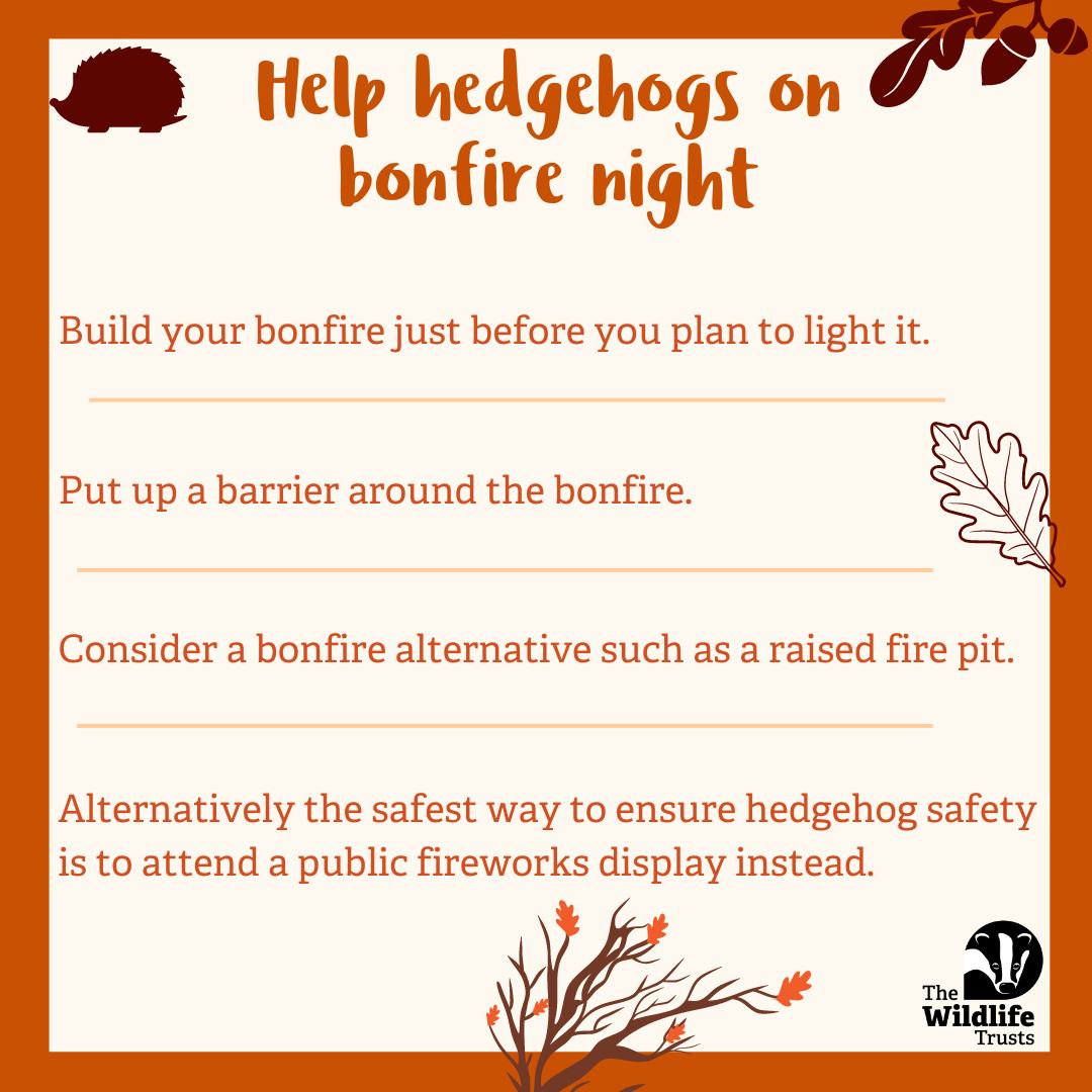 Herts - 🚨Bonfire season is one of the most dangerous times for ...