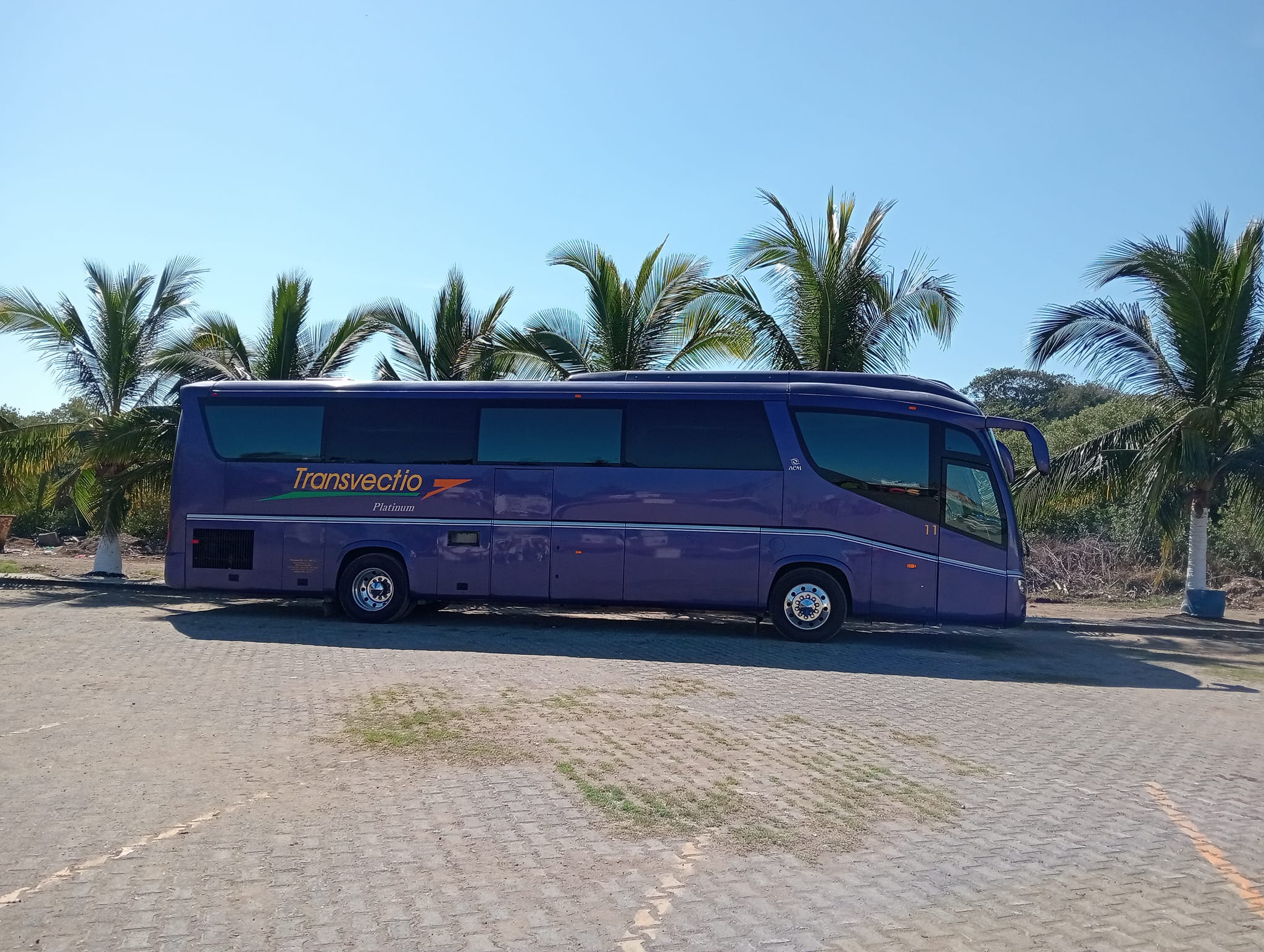 transvectio-autobuses
