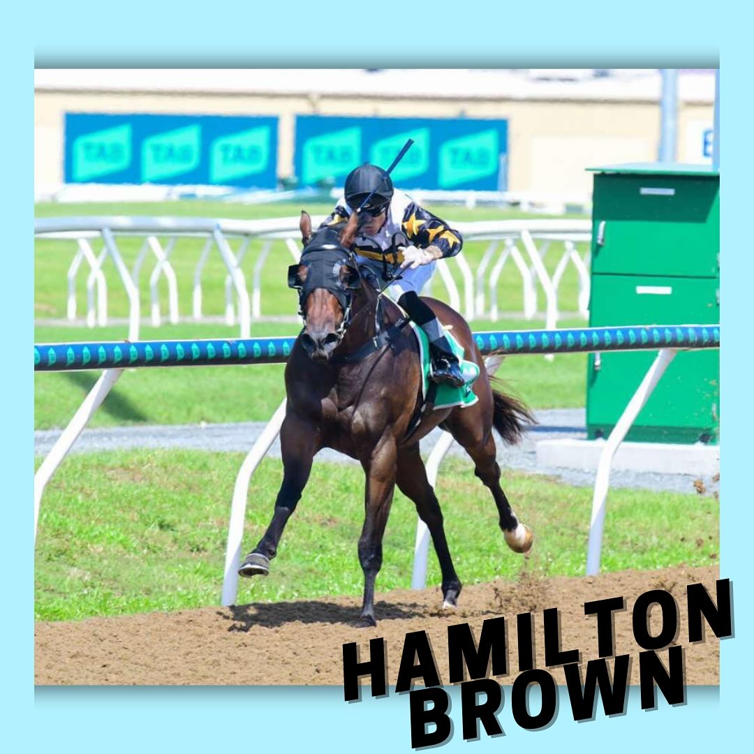 Lee Freedman Racing | Gold Coast QLD