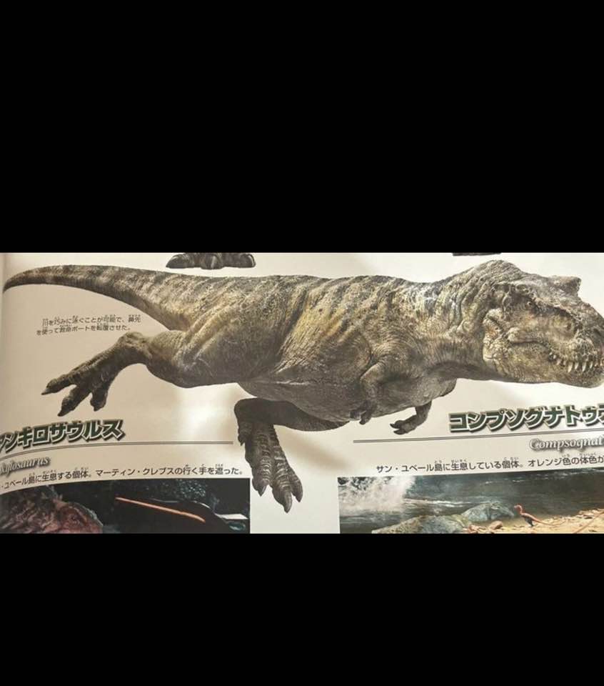 T-Rex Dr.Swamp 2ch ディストーションOD 動作確認済 So is this how the Rebirth T-Rex swam? 開の代かに禁ぐことな内質で
