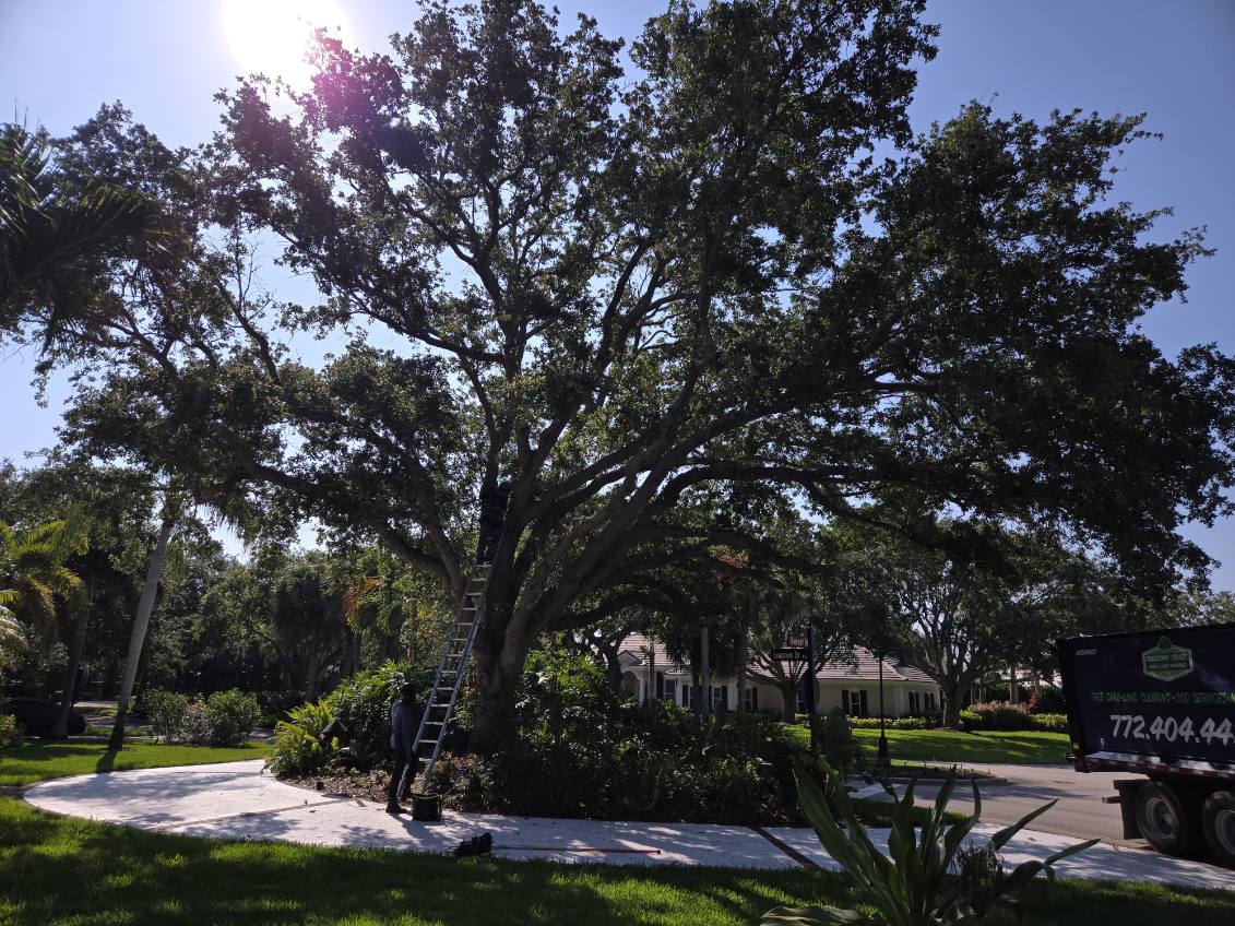 Treasure Coast Tree & Land Services | Vero Beach FL