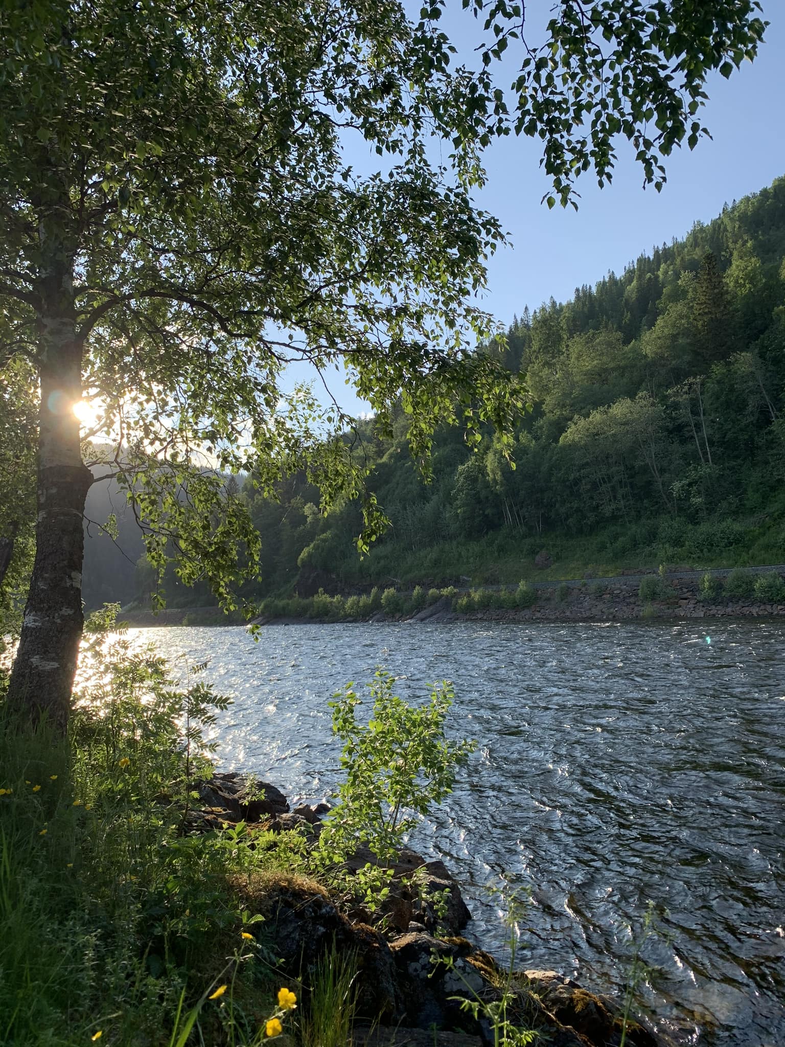 Winsnes Fly Fishing lodge, Gaula River, Norway - GAULA CLOSED UNTIL ...
