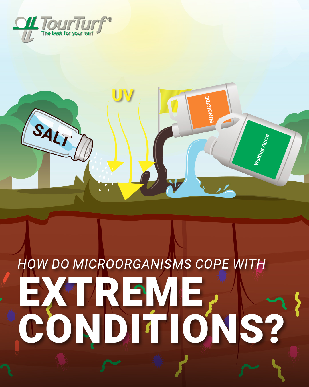 TourTurf - 🦠 How do microorganisms cope with extreme...