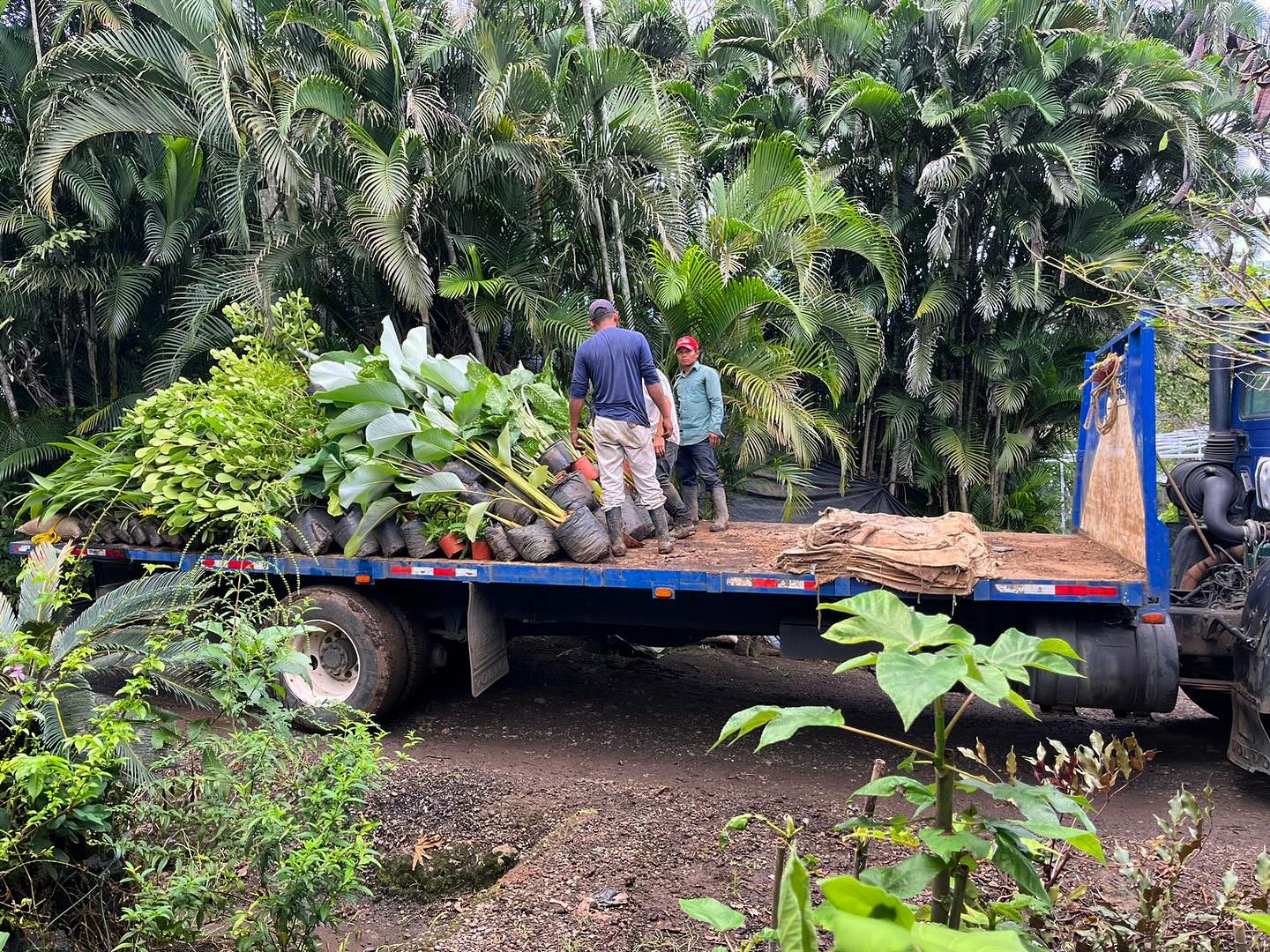 Viveros Procesa | Garita