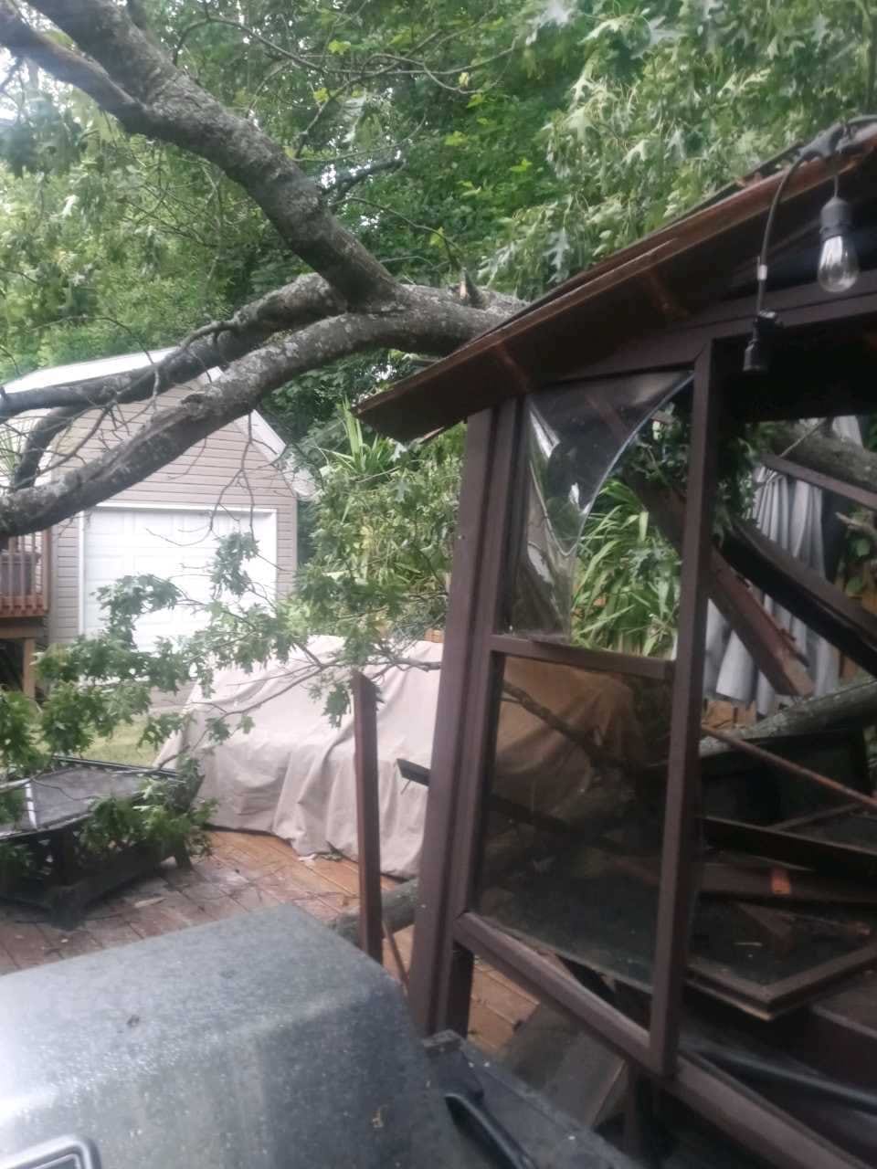 ProCare Tree services | Auburn Hills MI
