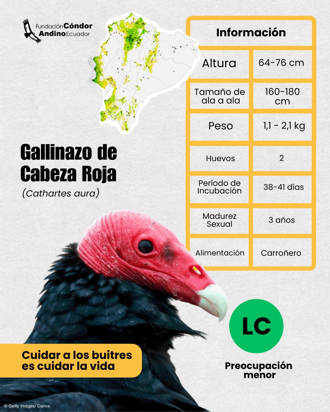 Fundación Cóndor Andino added a... - Fundación Cóndor Andino