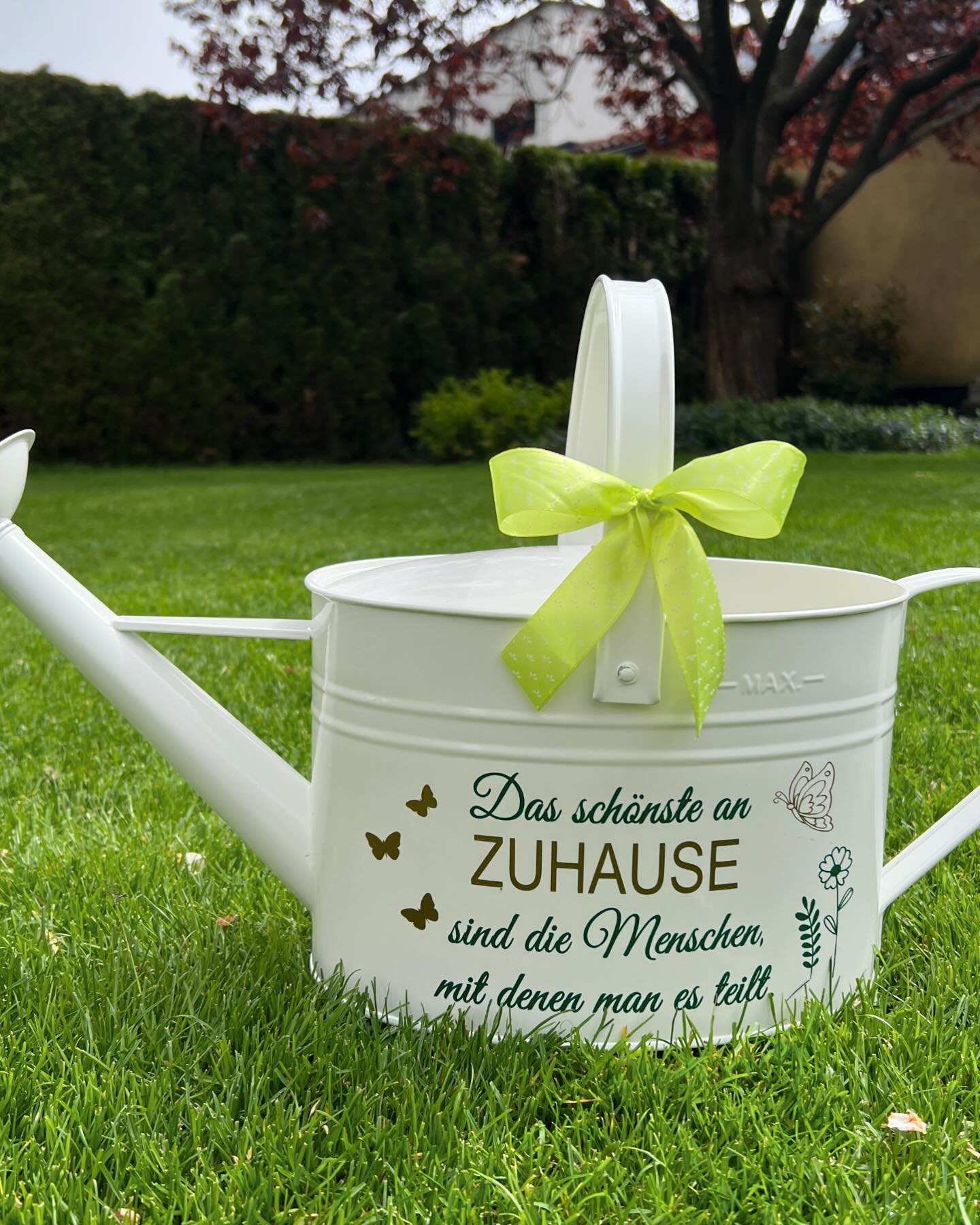 ♡ Gießkannenzeit Diese tollen Gießkannen sind ein echter Blickfang in jedem Garten und bereiten jedem Gartenliebhaber Freude! Wähle zwischen einer 5-Liter oder 10-Liter Gießkanne in verschiedenen Fa