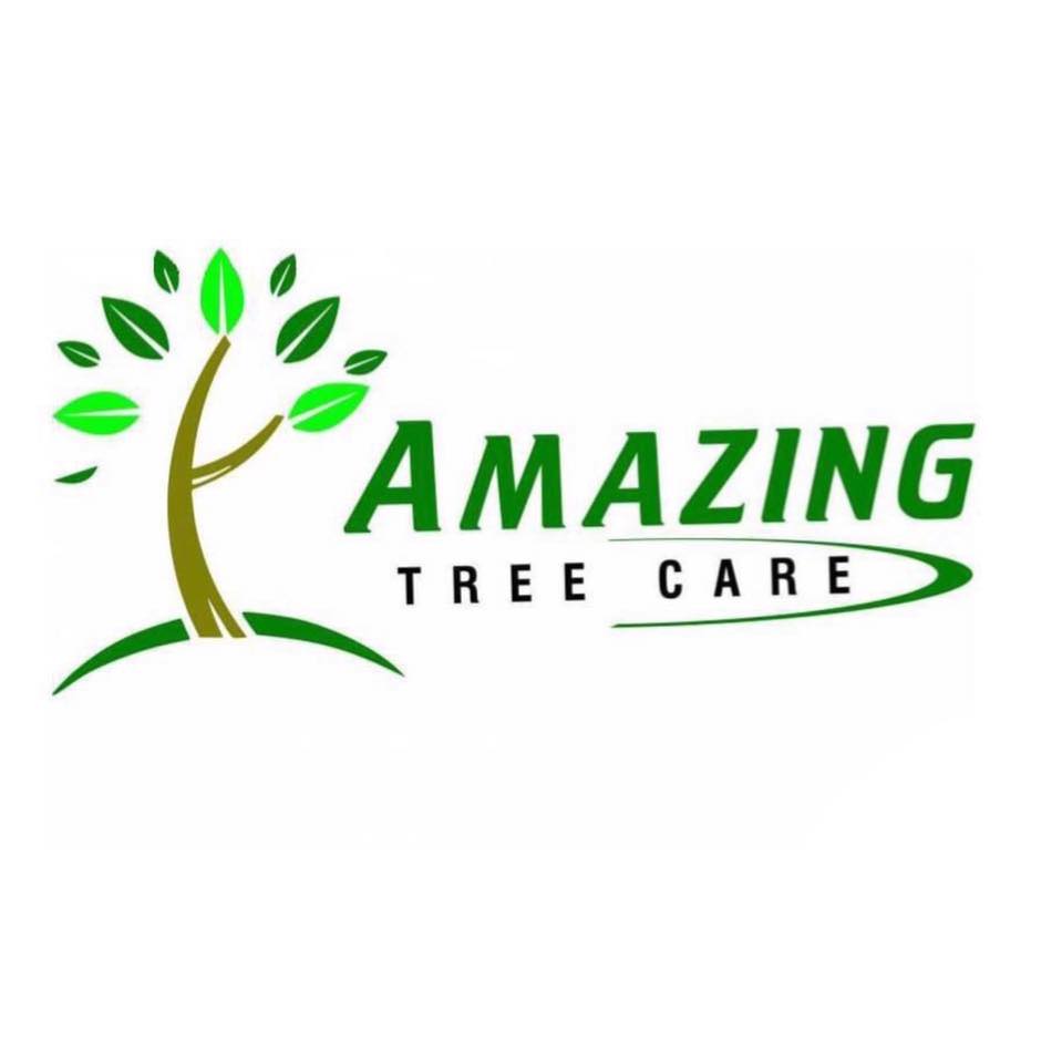 Amazing Tree Care | Carrollton TX