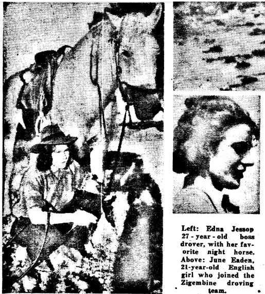 Waler - World News (Sydney), 19th Novemebr, 1953 Edna Jessop (nee ...