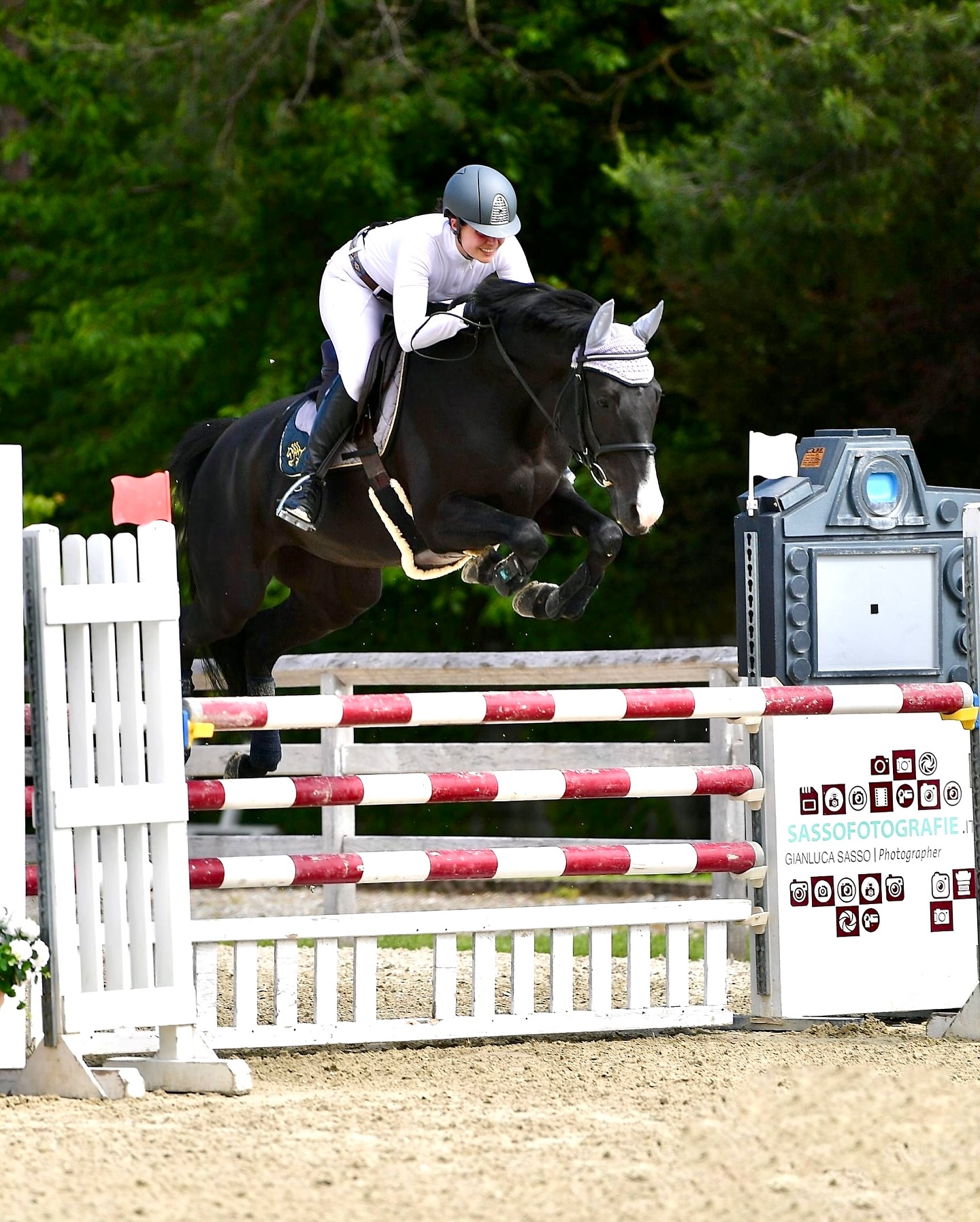 Equus Academy