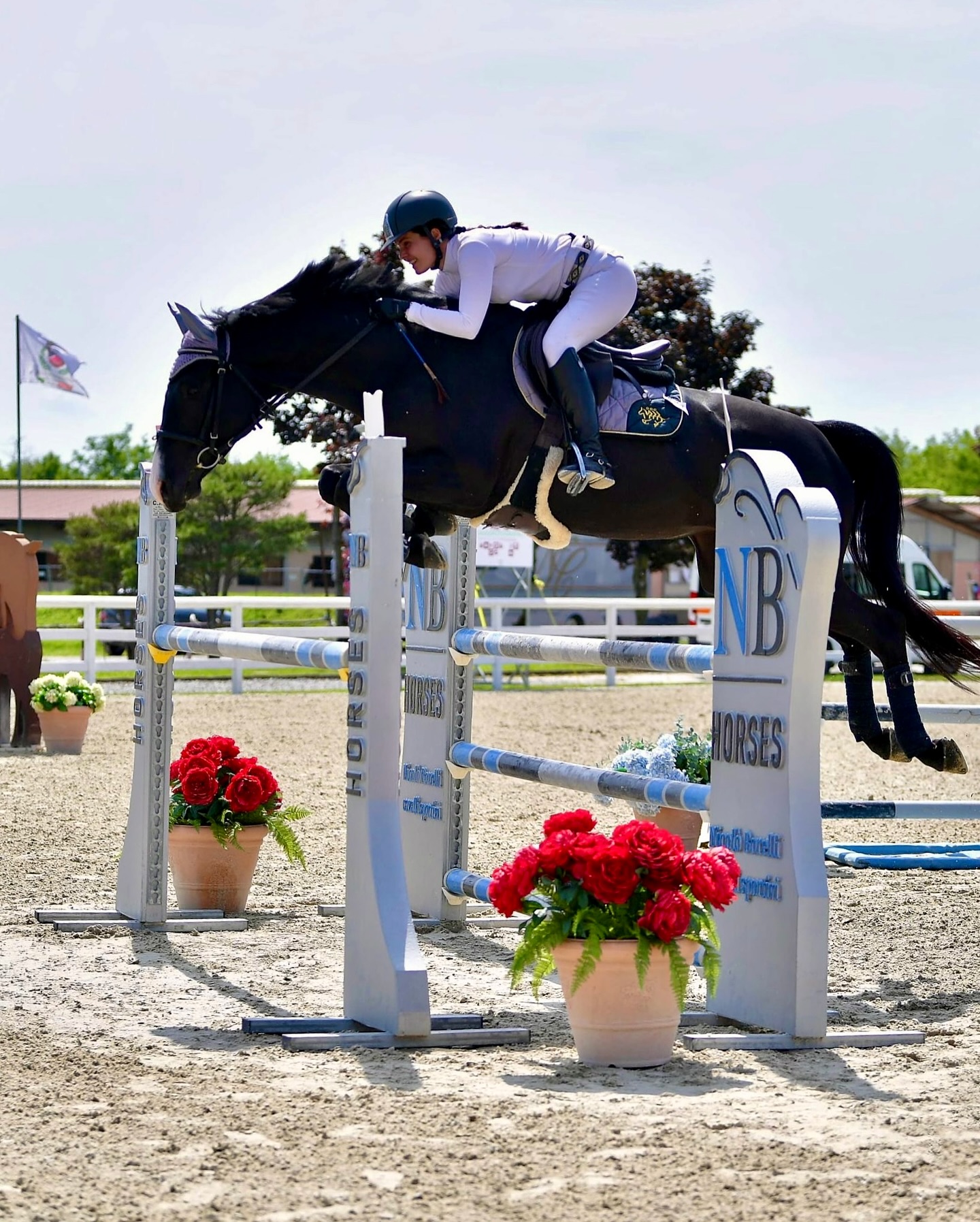 Equus Academy