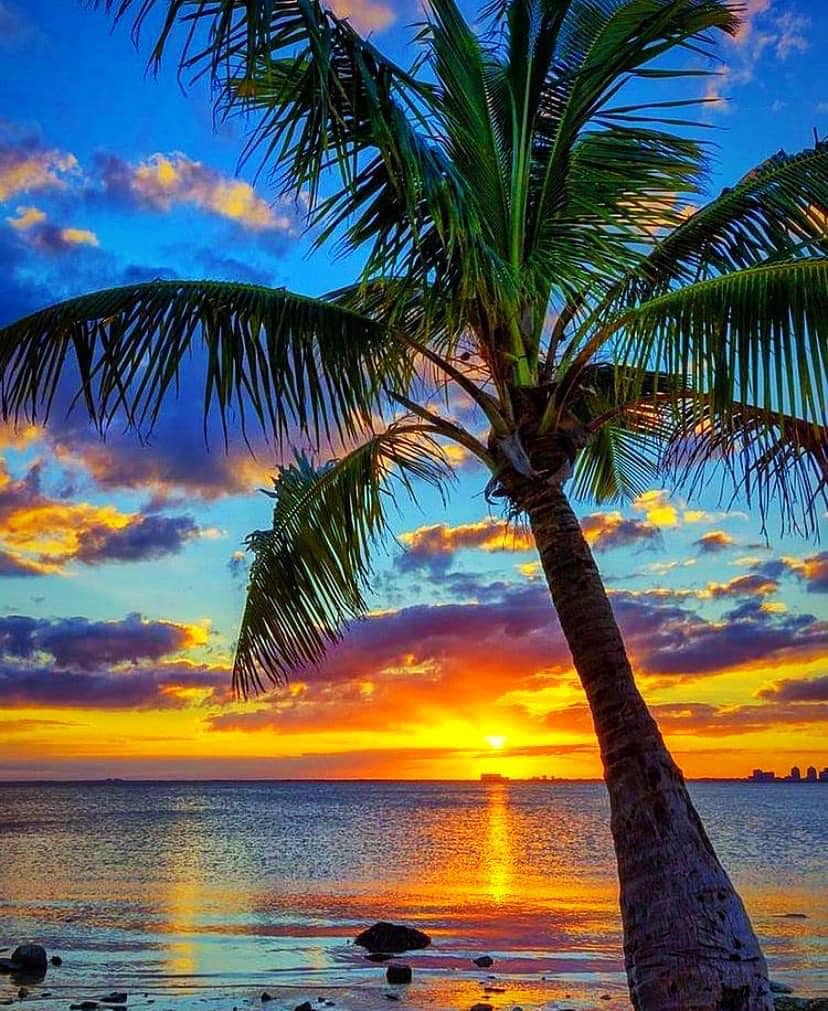 Immerse yourself in Hawaii's purple sunset romance