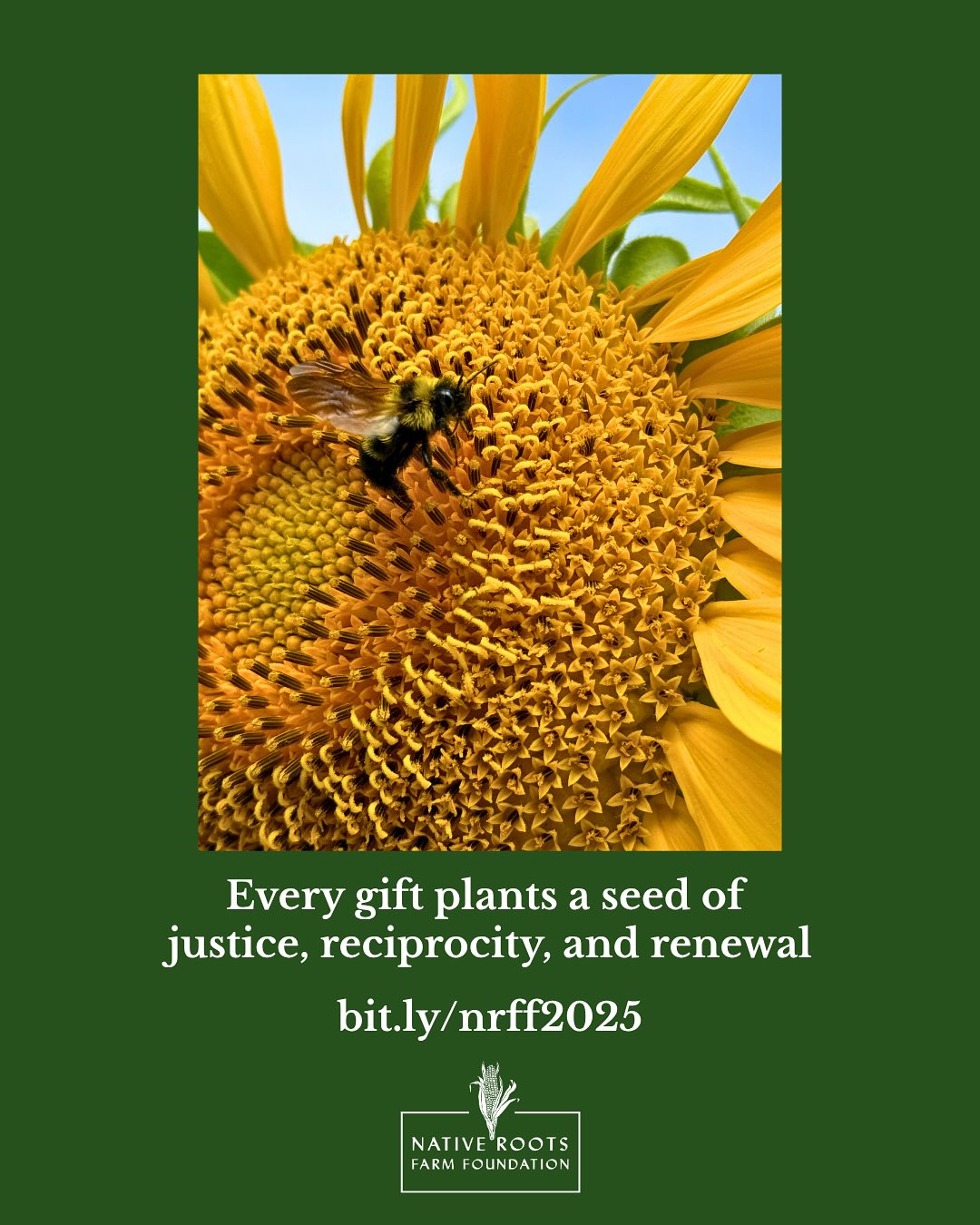 Native Roots Farm Foundation