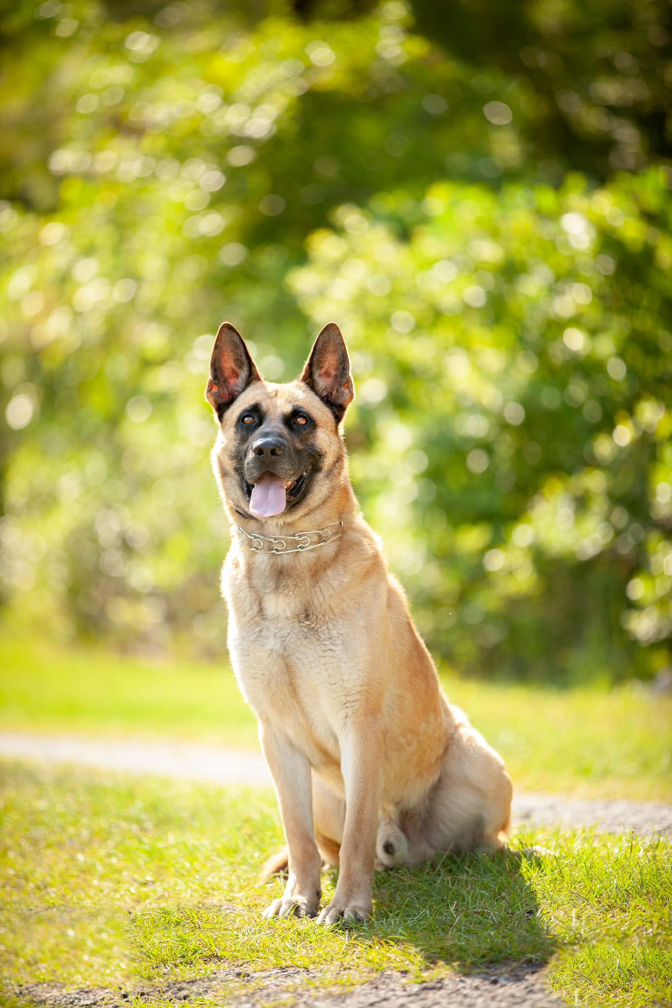 Sheriff Scotty Rhoden... - Baker County Sheriff's Office | Facebook