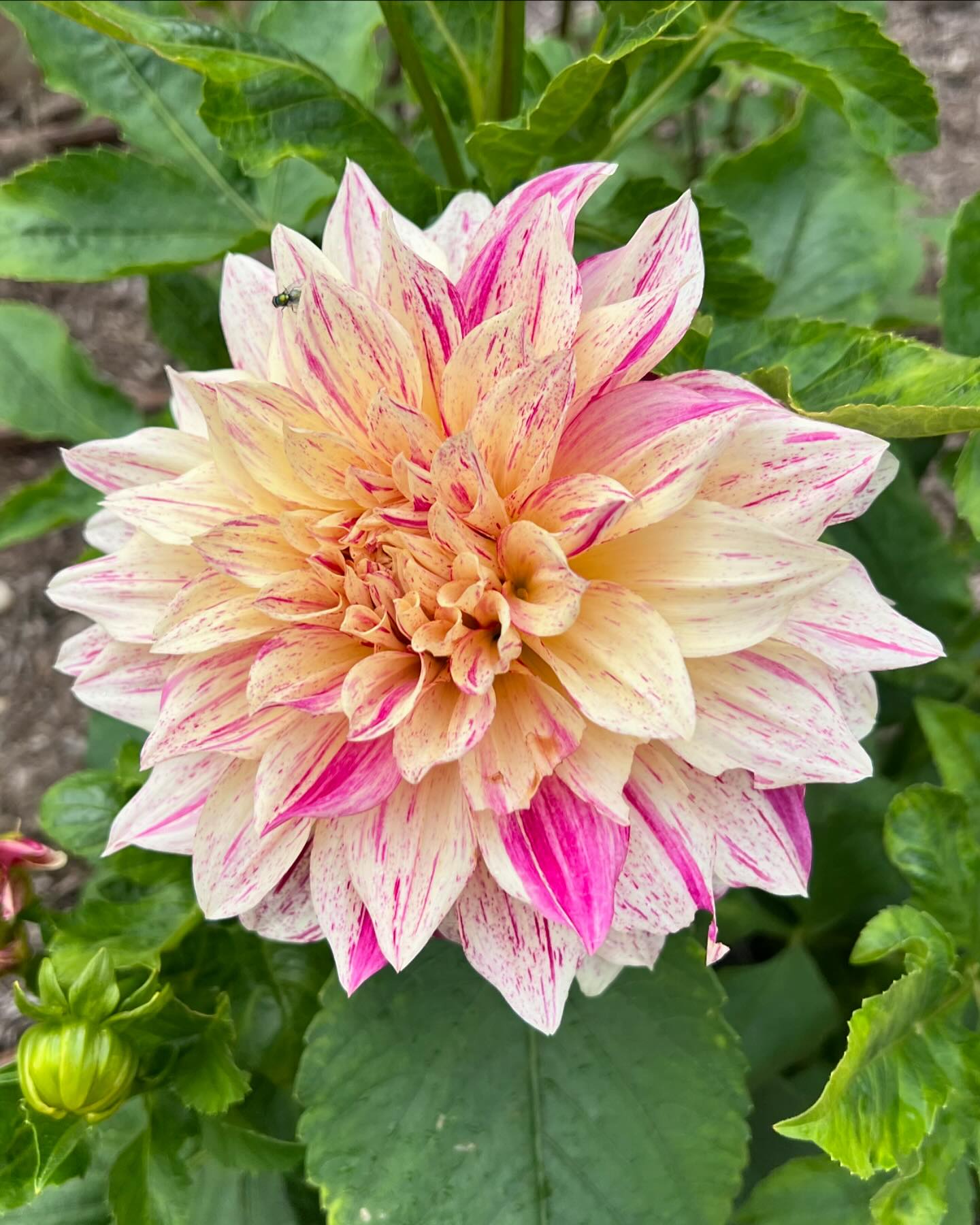 Spring Close Farm | East Hampton NY