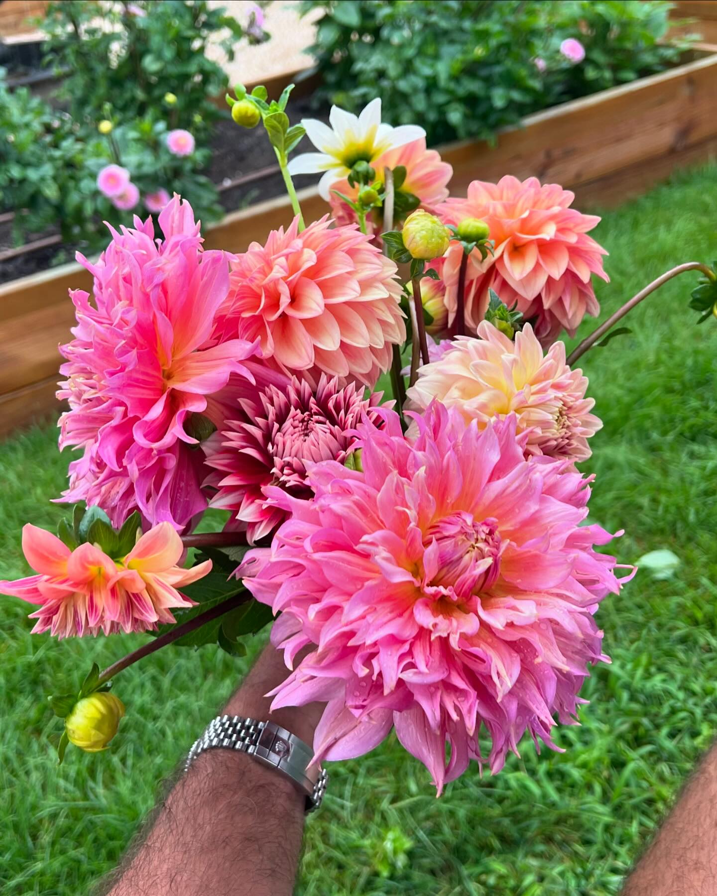 Spring Close Farm | East Hampton NY
