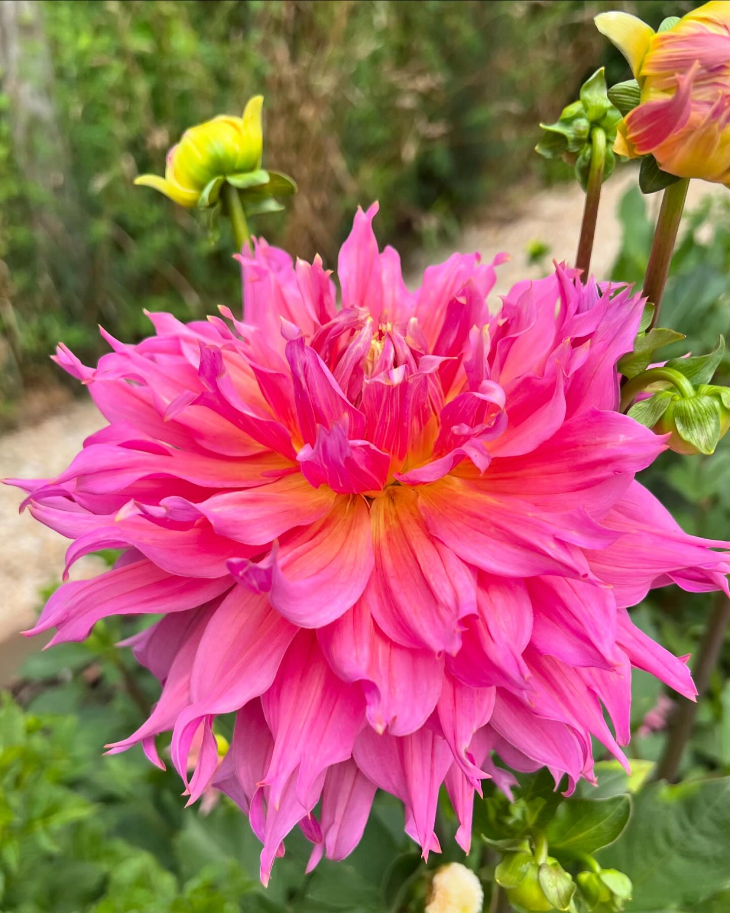 Spring Close Farm | East Hampton NY