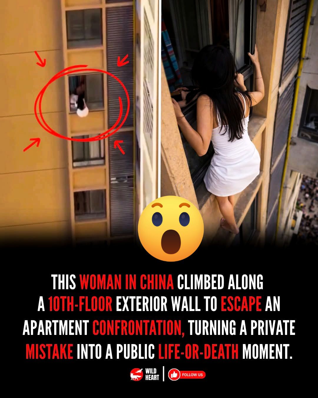 lady climbs in window and dress falls down Funny video of a woman falling out of her while climbing her woman climbing through window gif