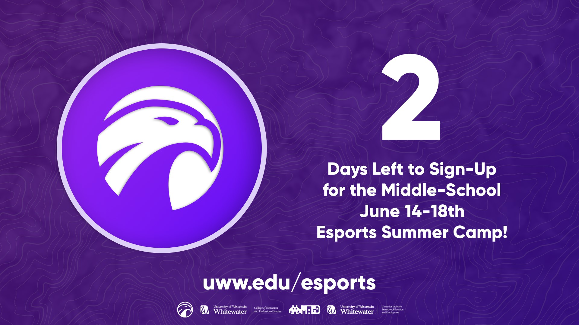UW-W Esports Club