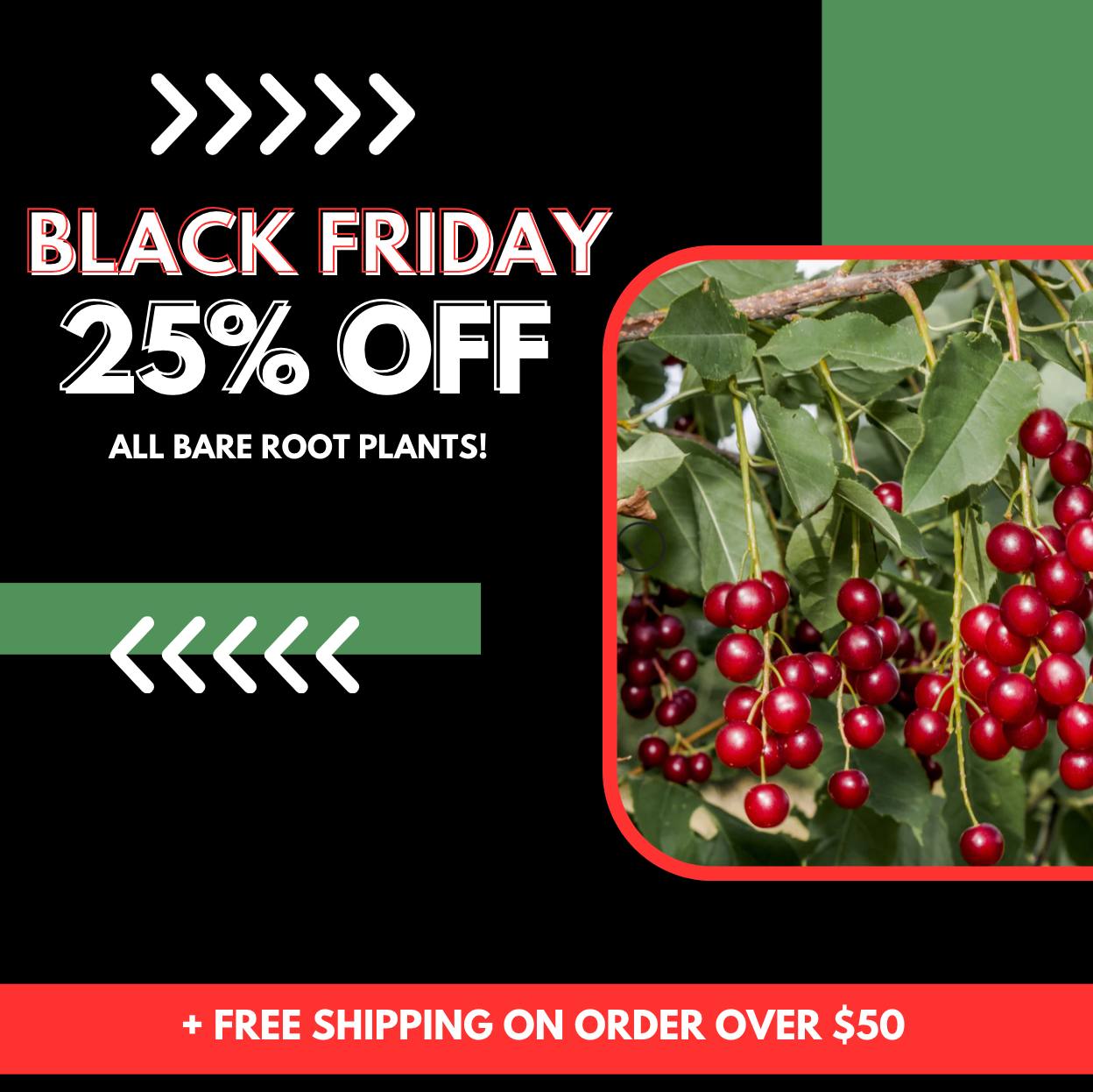 Northern Ridge Nursery | Pembine WI