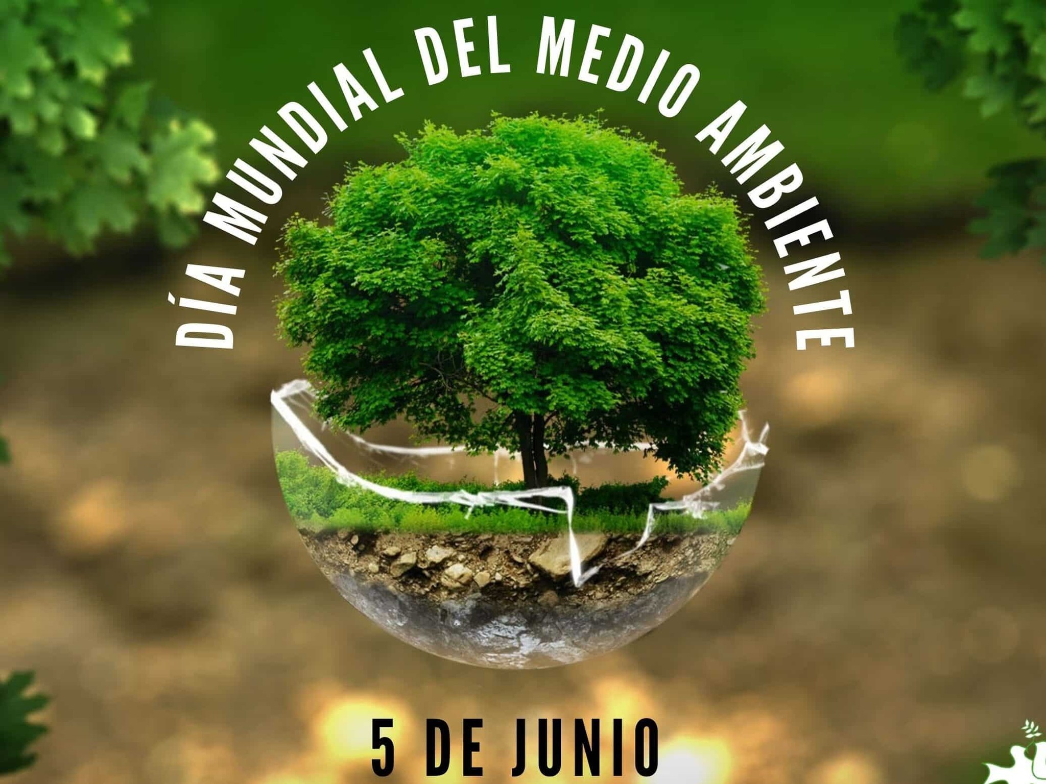 Vecinos - 🌍 5 de Junio Día del Medio Ambiente 🌍 😃Hoy celebramos el Día ...
