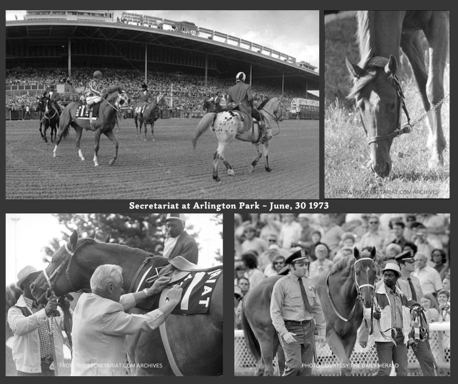 Secretariat - #OnThisDay 50 years ago: “The sovereign Secretariat led ...