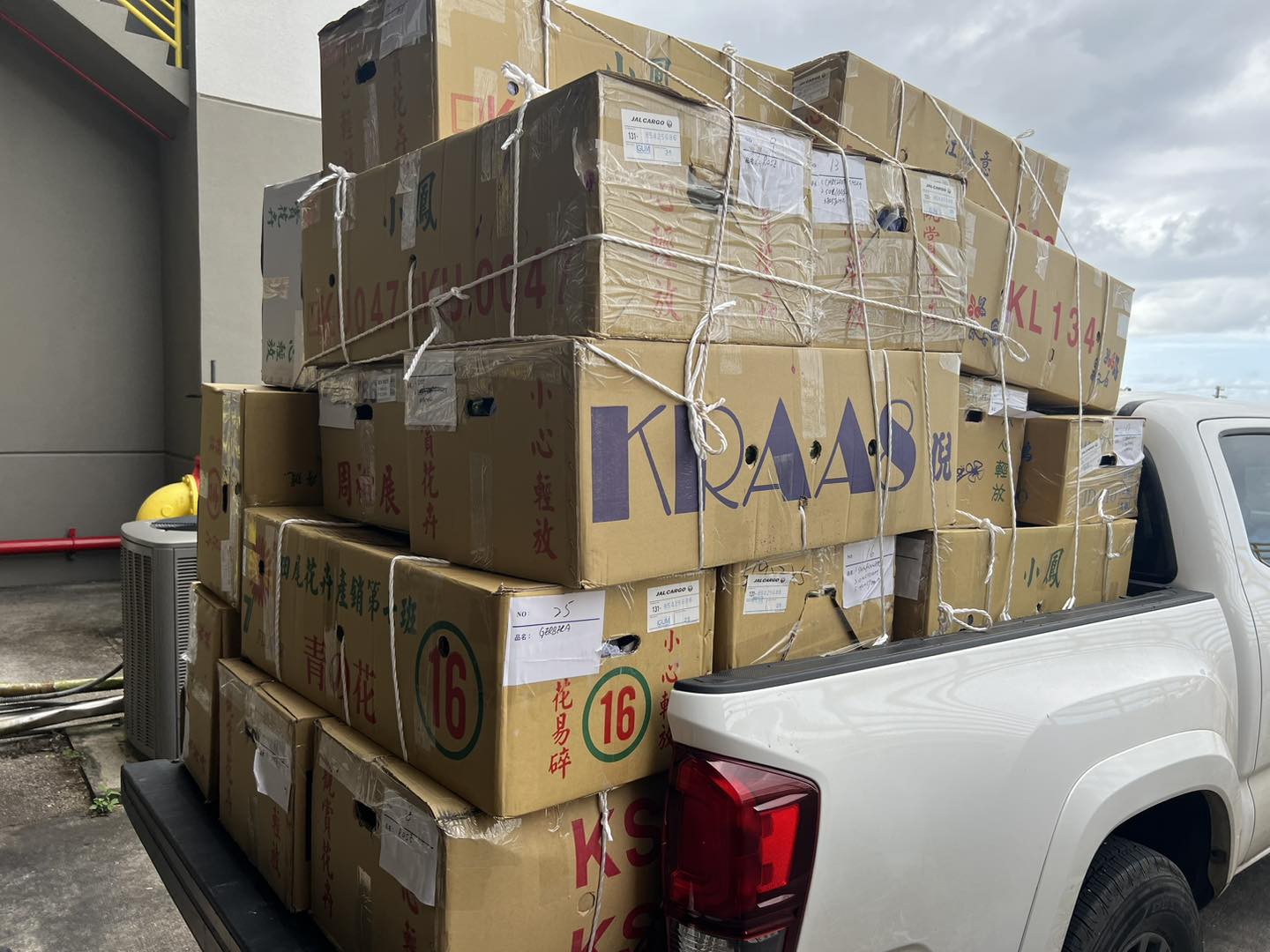 Our flowers shipment is already on... - Lucky Spring Mart | Facebook