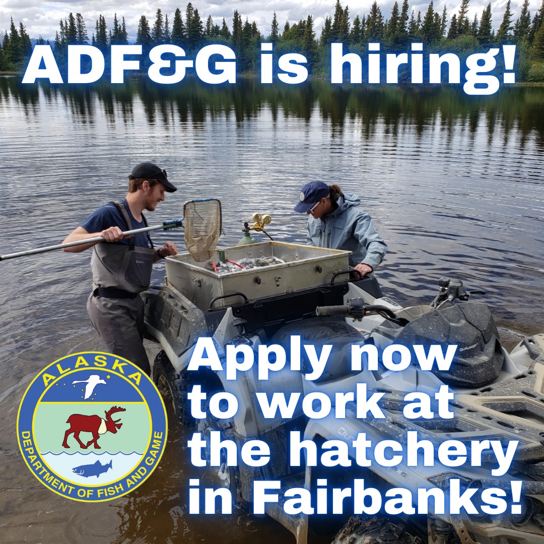 ️ ADF&G is... - ADF&G - Sport Fishing Interior Alaska | Facebook