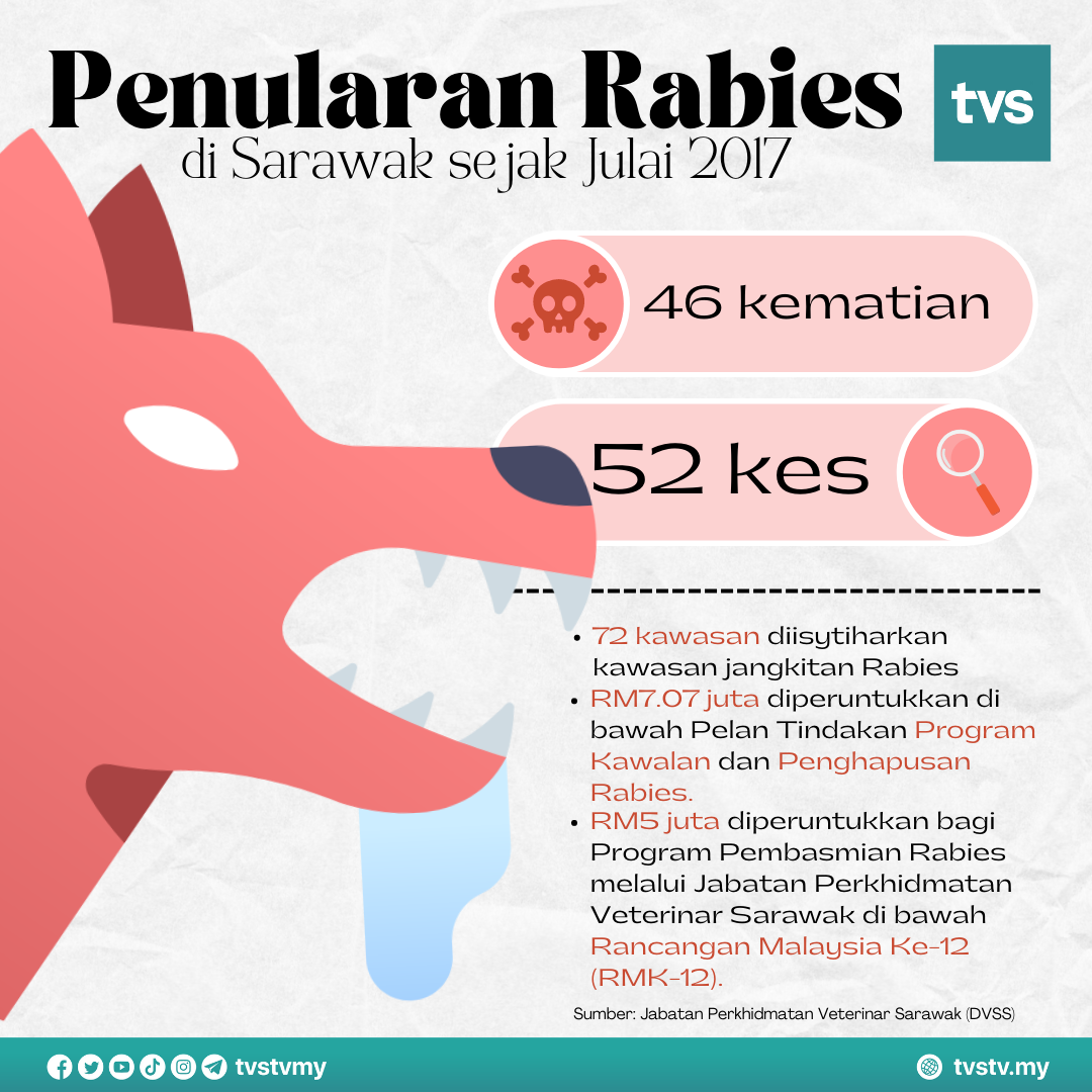 TVS - [INFOGRAFIK] Penularan Rabies di Sarawak sejak Julai... | Facebook