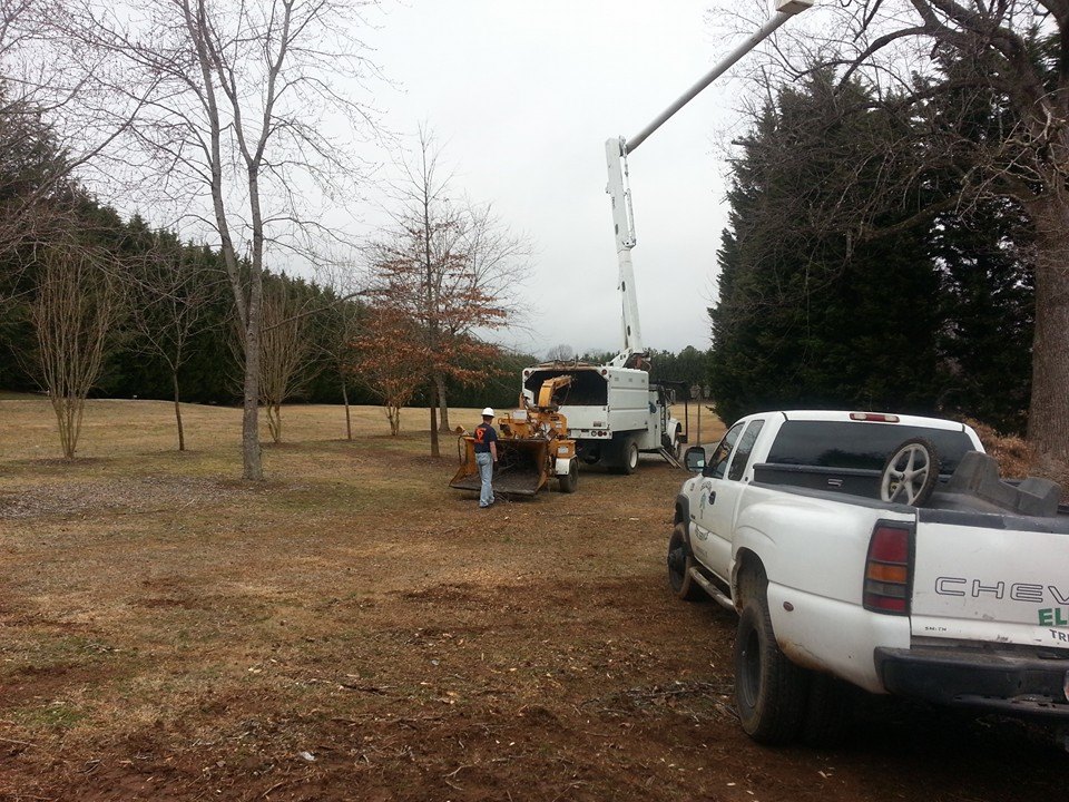 Ellason Tree Service | Simpsonville SC