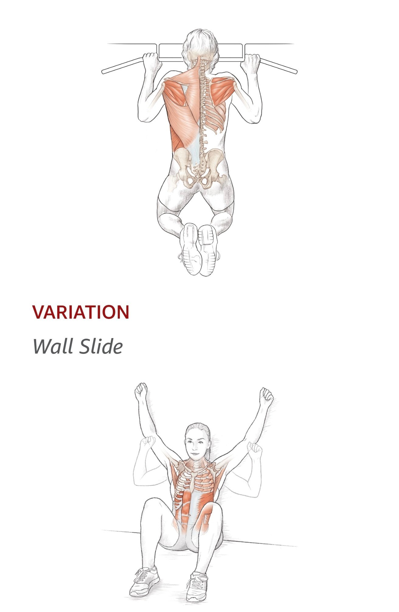 Krusukh - ลองโหนบาร์ ... หากยังไม่ไหว แนะนำลองฝึก wall angel ครับ ...