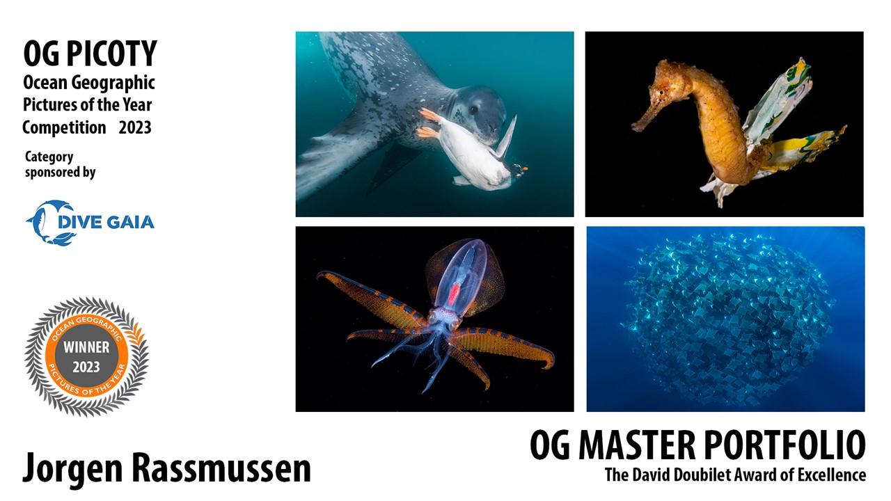 Our Biggest Congrats to Jorgen... - Ocean Geographic | Facebook