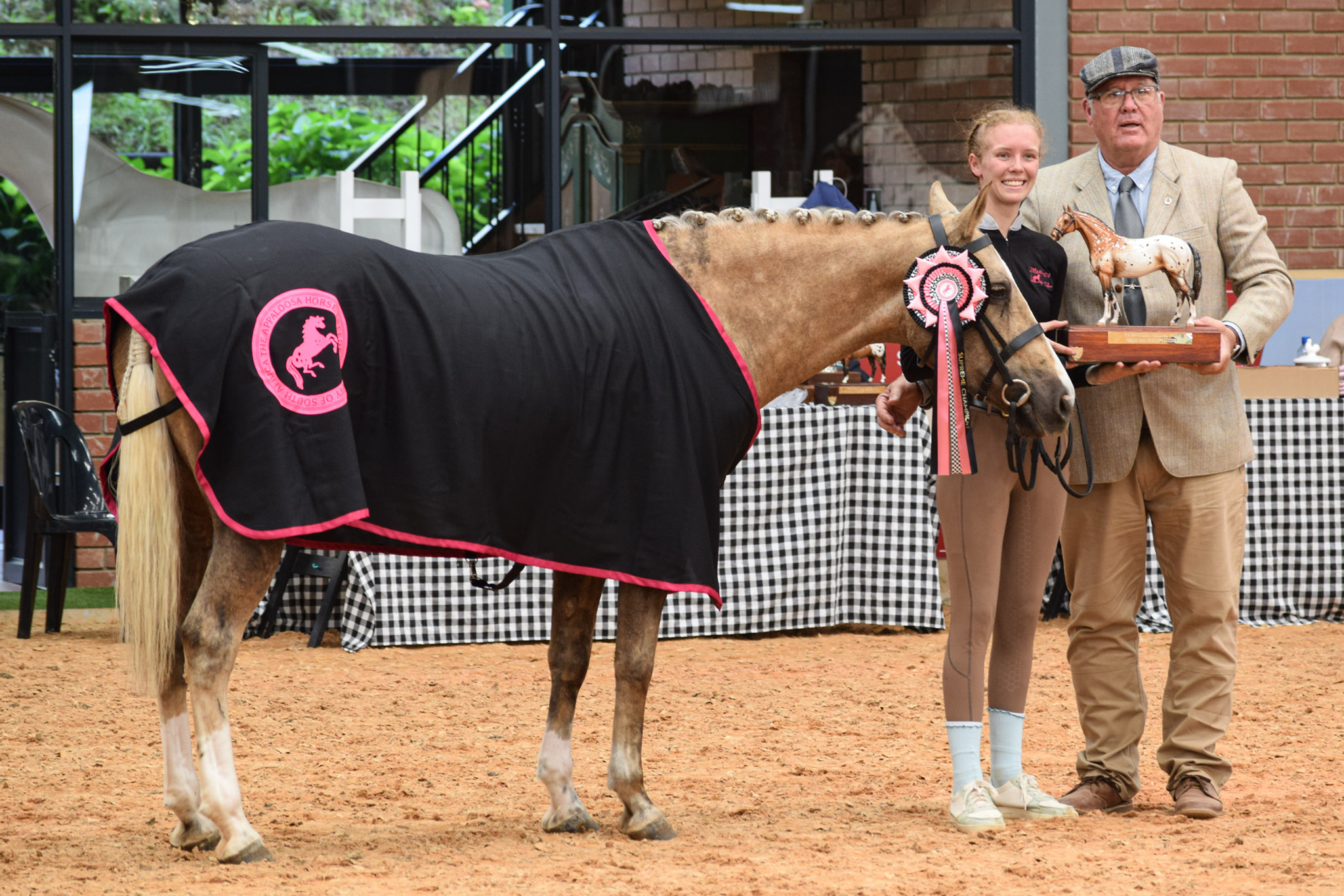 KILSHANE STUD, Irish... - KILSHANE STUD, Irish sporthorses