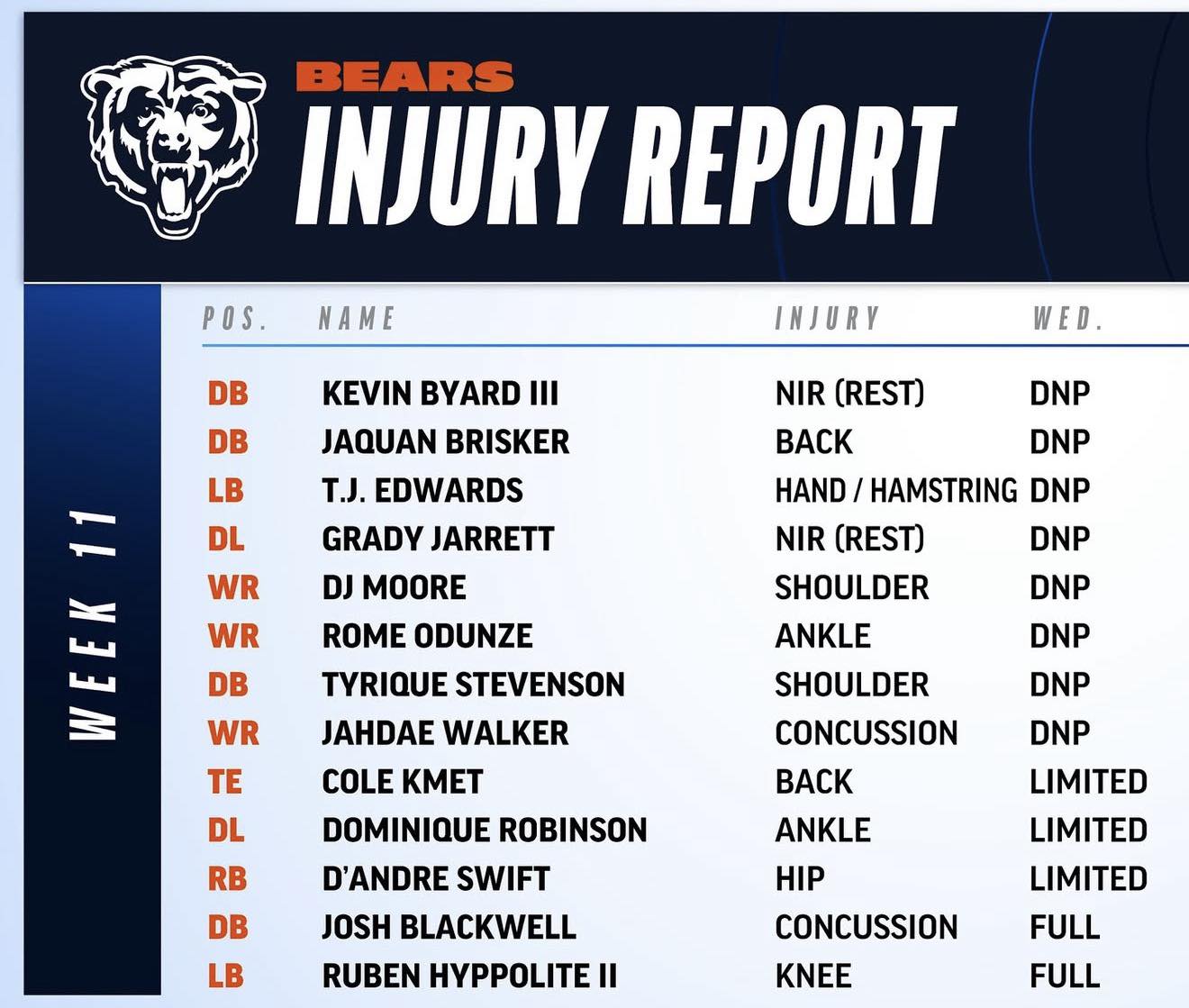 Chicago Bears Fans | I've been waiting for this day all year long ...