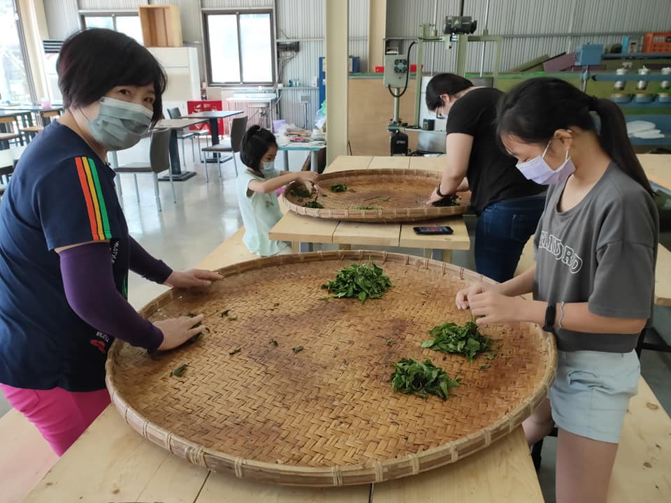 上福裕紅茶莊園 - 🌞莊園手揉茶體驗 最有溫度的手感揉捻茶菁 過程會感受到茶菁的變化 回味的茶香讓您愛不釋手... | Facebook