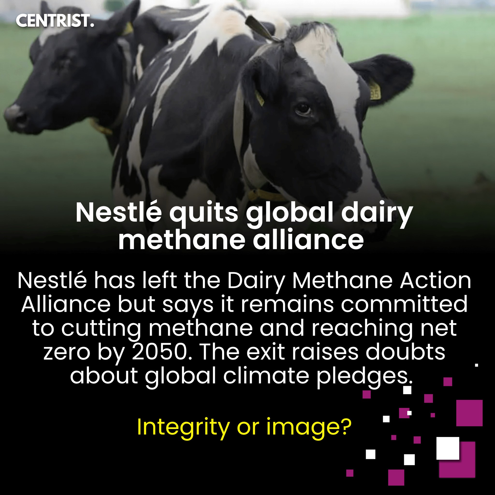 Centrist - Nestlé exits global dairy methane alliance, keeping net-zero ...