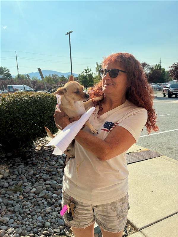Meet Kahlua, a... - Washoe County Regional Animal Services | Facebook