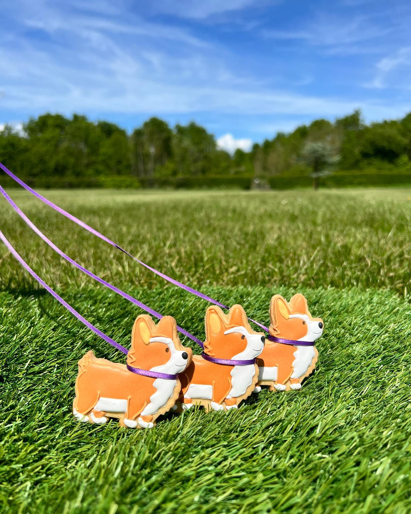 The Windsor Lady (The Queen and her Corgis, Bachelors Acre) The