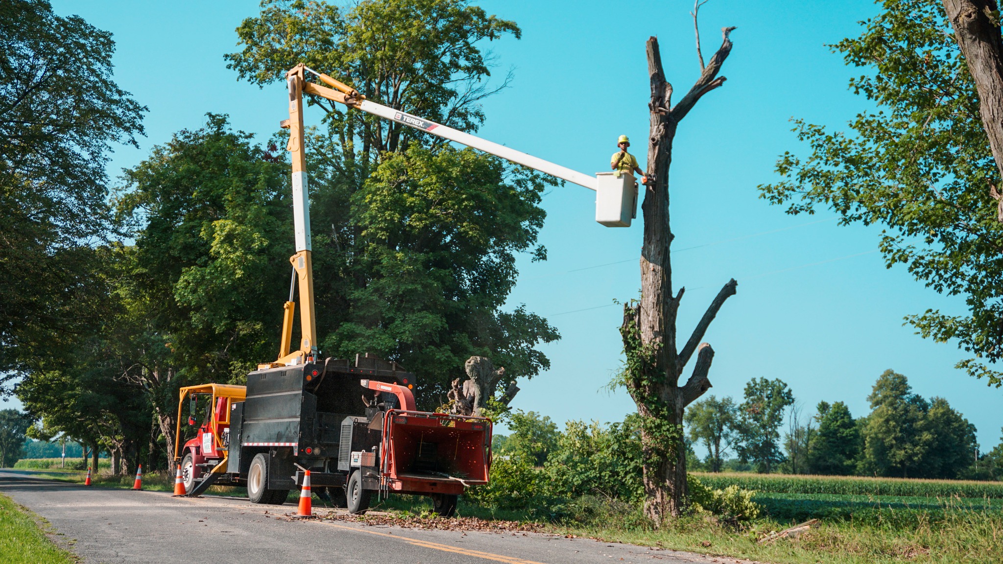 Always There Tree Care