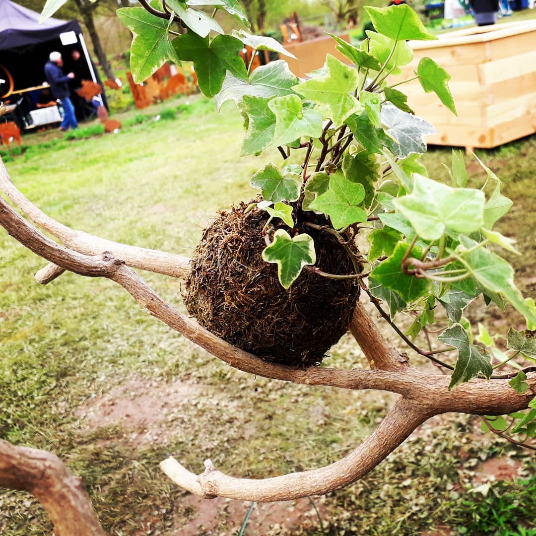 Mathieu Création et Végétal - #kokedama on les aime bien chez # ...
