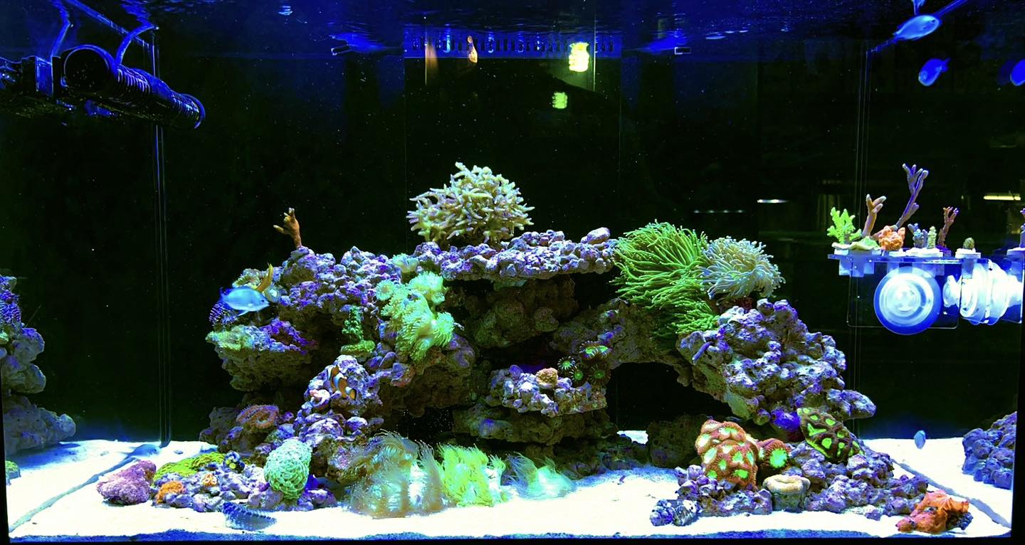 100% Aquatics - Reef Safe | Brisbane QLD