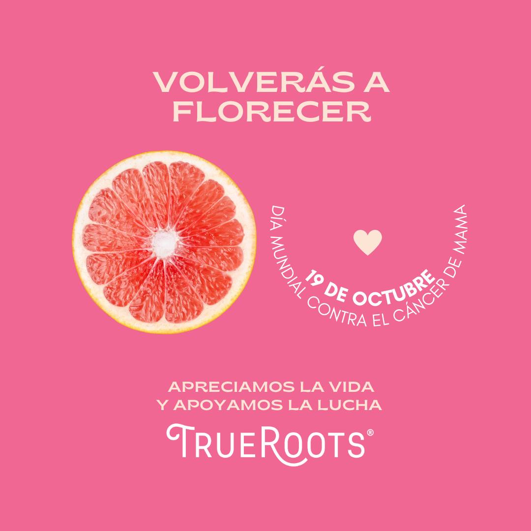 True Roots | Culiacán
