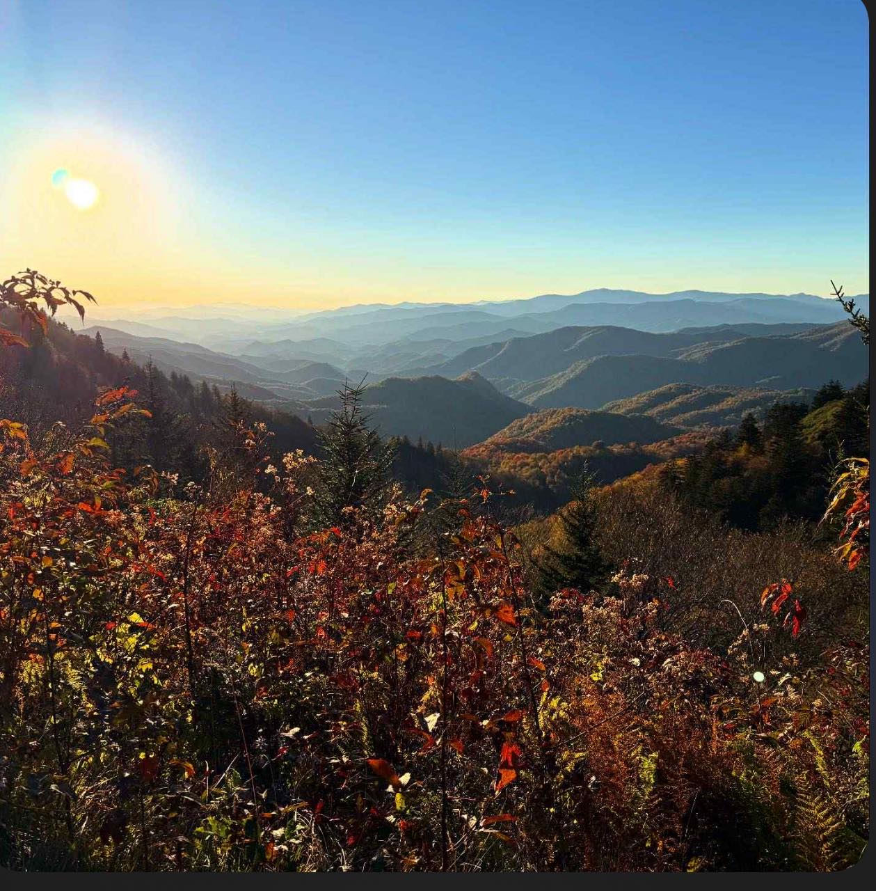 WNC Community Credit Union