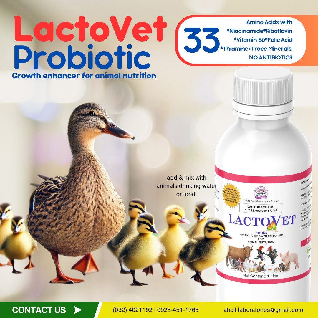 🦆 Malulusog na pato, mas maayos... - Ahcil Laboratories Inc. | Facebook